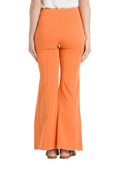 Shop Alberta Ferretti High Rise Flared Jeans In Orange
