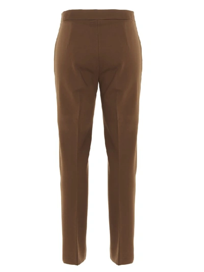 Shop Max Mara Pegno Tailored Pants In Brown