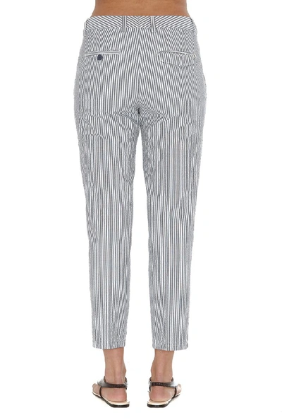 Shop Dondup Rothka Tapered Pants In Multi