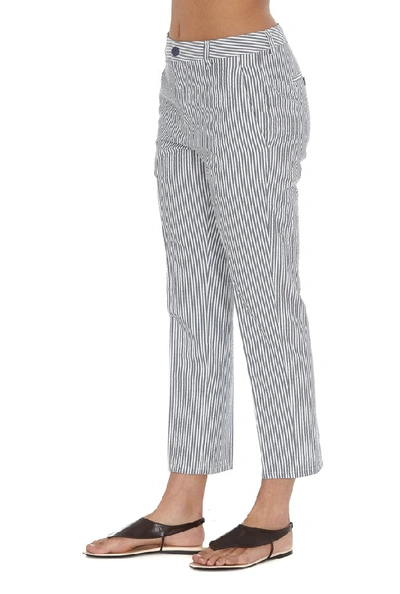 Shop Dondup Rothka Tapered Pants In Multi