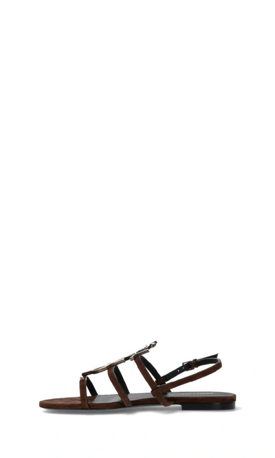 Shop Saint Laurent Cassandra Flat Sandals In Brown