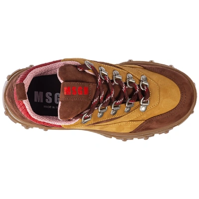 Shop Msgm Tractor Platform Sneakers In Brown