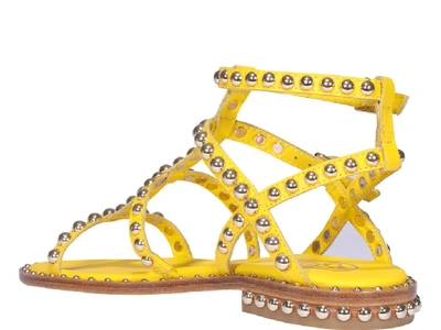 Shop Ash Precious Studded Sandals In Yellow