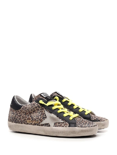 Shop Golden Goose Deluxe Brand Leopard Print Superstar Sneakers In Brown