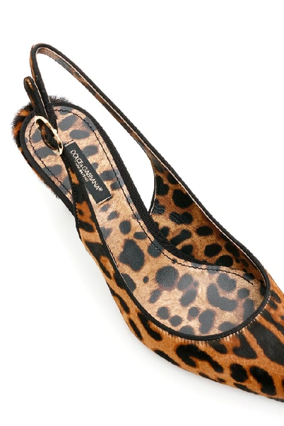 Shop Dolce & Gabbana Leopard Print Slingback Pumps In Multi