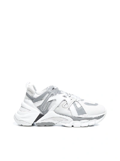 Ash Sneakers Aerodynamic Sole In White | ModeSens