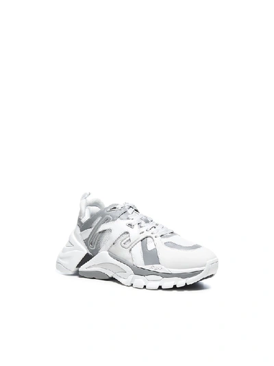 Shop Ash Fl Sneakers In White