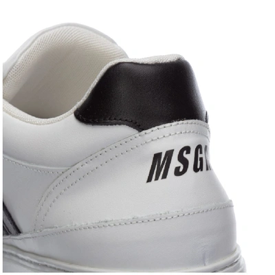 Shop Msgm Logo Sneakers In White