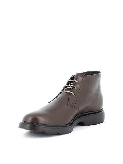 Shop Hogan H393 Derby Desert Boots In Brown