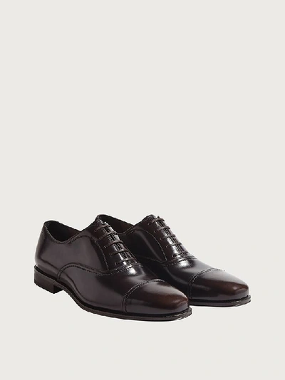 Shop Ferragamo Oxford Shoe In Dark Brown