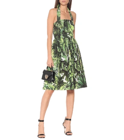 Shop Dolce & Gabbana Halterneck Cotton Midi Dress In Green