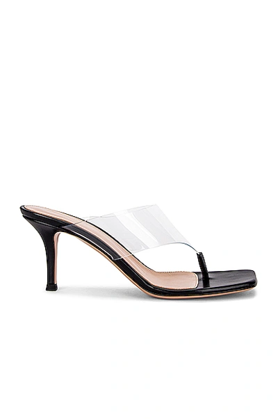 Shop Gianvito Rossi Plexi Thong Sandals In Transparent & Black