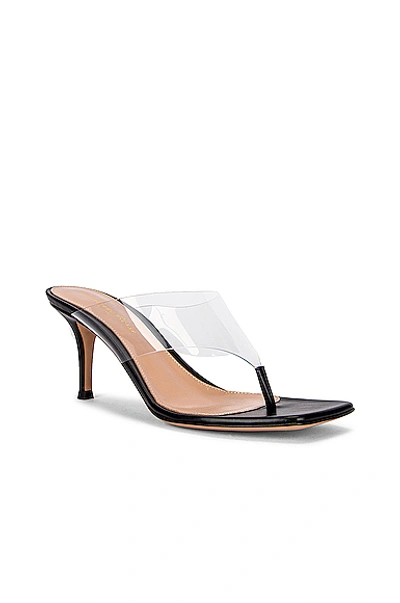Shop Gianvito Rossi Plexi Thong Sandals In Transparent & Black