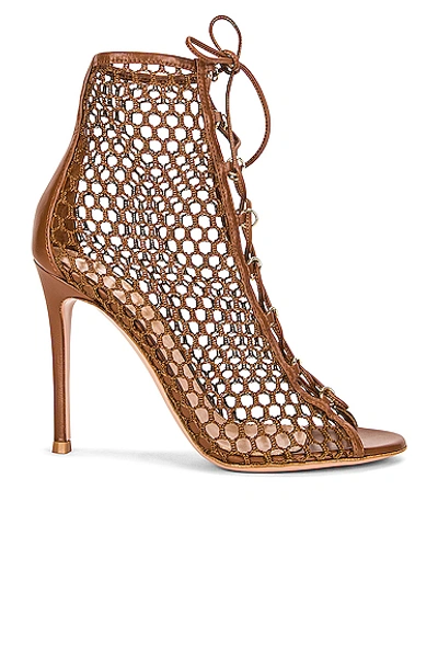 Shop Gianvito Rossi Cage Booties In Cuoio