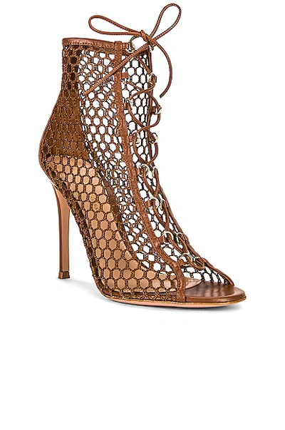 Shop Gianvito Rossi Cage Booties In Cuoio
