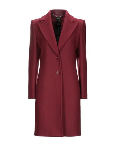 Shop Liu •jo Woman Coat Burgundy Size 10 Virgin Wool, Polyamide In Maroon