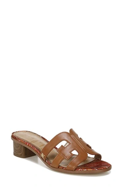 Shop Sam Edelman Illie Logo Strap Slide Sandal In Saddle Leather