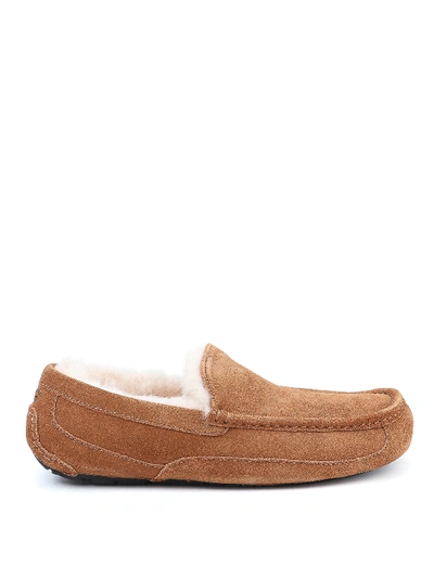 Shop Ugg Ascot Loafers In Brown