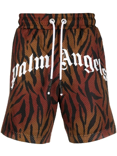 Shop Palm Angels Tiger Mesh Shorts In Multicolor