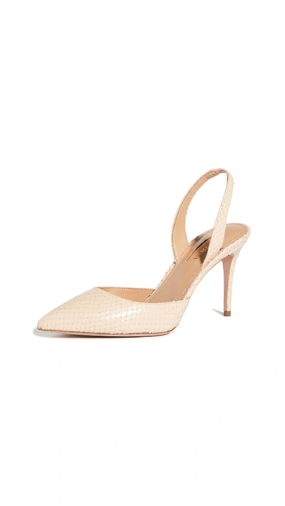 Shop Aquazzura So Nude Pumps 85mm In Chai