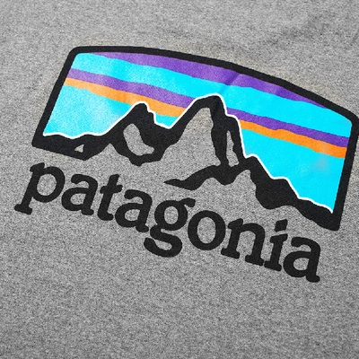 Shop Patagonia Long Sleeve Fitz Roy Horizons Responsibili-tee In Grey