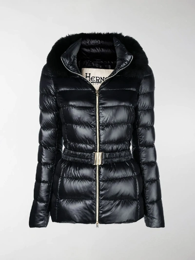 Shop Herno Fur Hood Puffer Jacket In Black