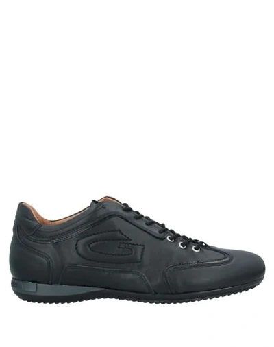 Shop Alberto Guardiani Sneakers In Black