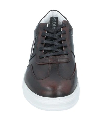 Shop Alberto Guardiani Man Sneakers Dark Brown Size 12 Soft Leather