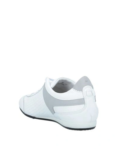 Shop Alberto Guardiani Sneakers In White