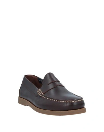 Docksteps Loafers In Brown