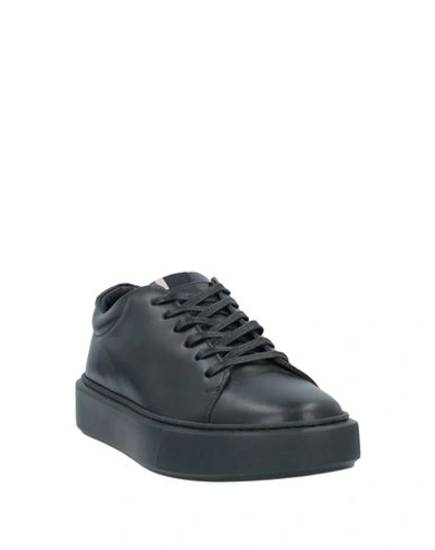 Shop Low Brand Sneakers In Black