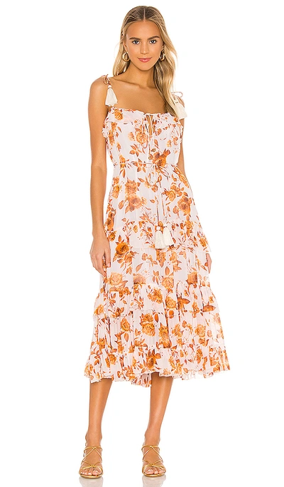 Shop Karina Grimaldi Lori Print Dress In Apricot Dahlia