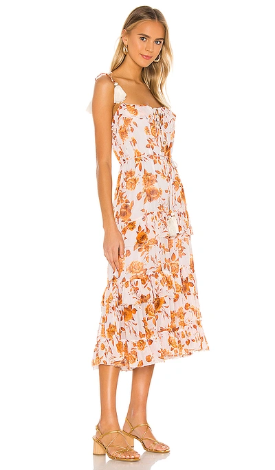 Shop Karina Grimaldi Lori Print Dress In Apricot Dahlia