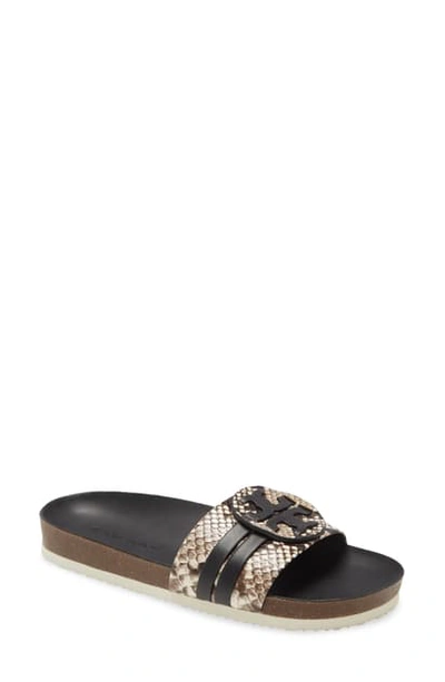 Tory Burch Leigh Slide Sandal In Warm Roccia | ModeSens