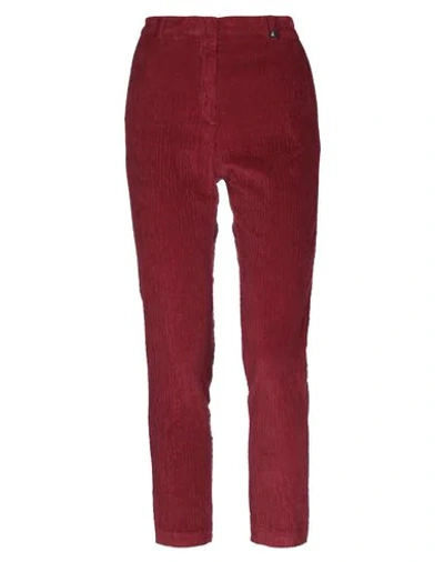 Shop Myths Casual Pants In Maroon