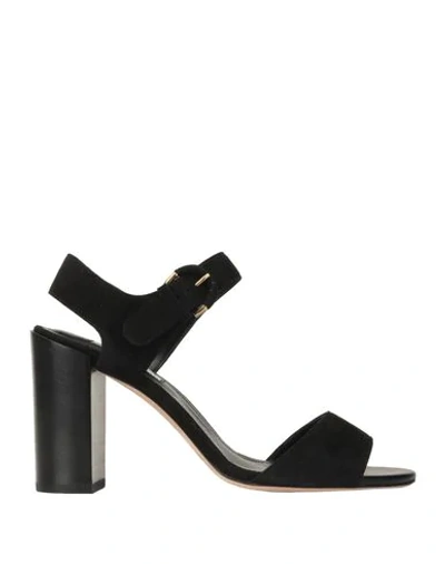 Shop Tod's Woman Sandals Black Size 11 Soft Leather