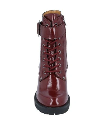 Shop Docksteps Ankle Boots In Maroon