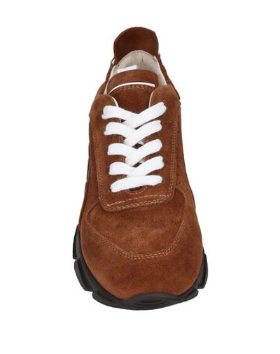 Shop Moma Sneakers In Brown