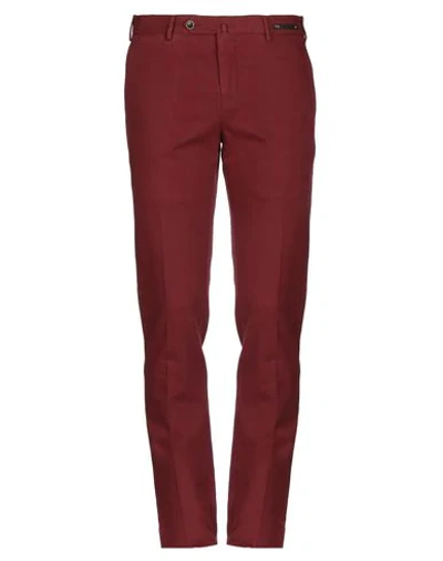 Shop Pt01 Pt Torino Man Pants Burgundy Size 36 Cotton, Elastane In Red