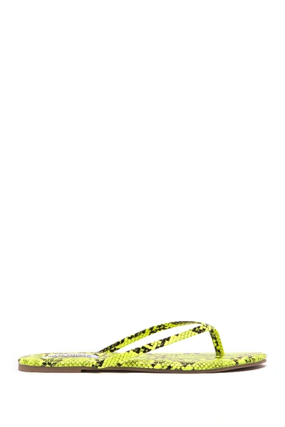 Shop Steve Madden Tay Flip Flop In Ylw Snake