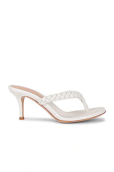 Shop Gianvito Rossi Braid Thong Sandals In White