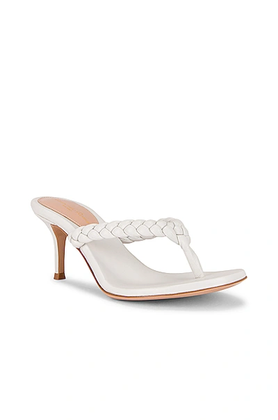 Shop Gianvito Rossi Braid Thong Sandals In White