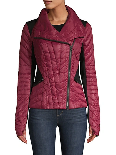 Shop Blanc Noir Colorblock Quilted Hooded Jacket