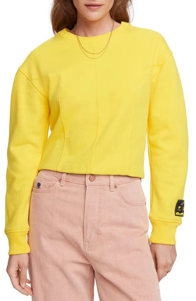 Shop Scotch & Soda Crop Sweatshirt In Explorer Yellow