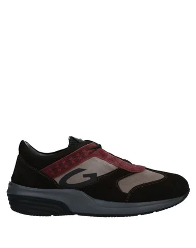 Shop Alberto Guardiani Sneakers In Dark Brown