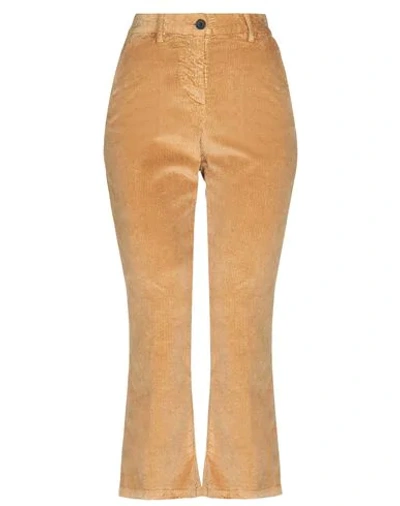 Shop Myths Casual Pants In Camel