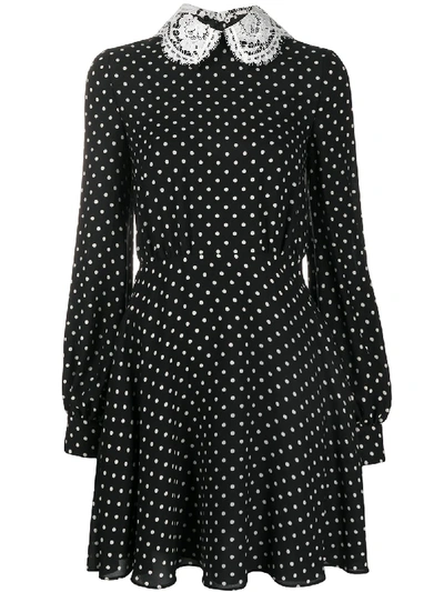 Shop Valentino Lace Collar Polka Dot Dress In Black