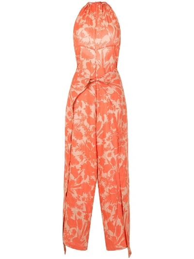 Shop Alexis Shasta Botanical Print Jumpsuit In Orange