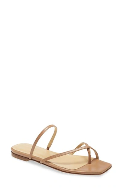 Shop Aeyde Marina Slide Sandal In Hazelnut