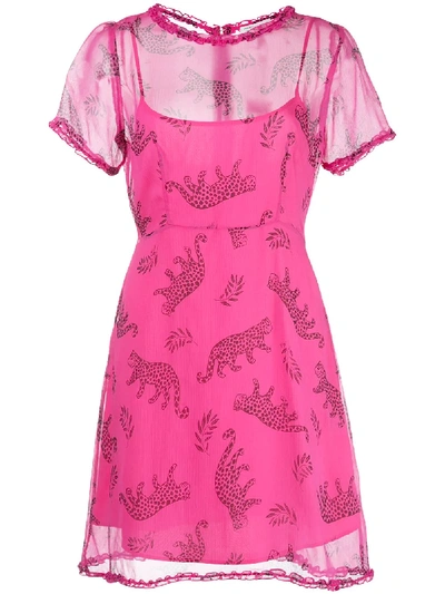 Shop Hvn Natalie Leopard Print Mini Dress In Pink